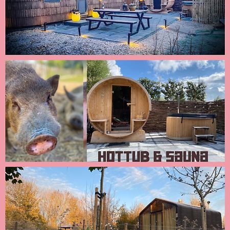 Bed & Wellness Klein Knorrestein With Private Hottub And Sauna And Tandembike Rental Included In Price Almere Eksteriør bilde